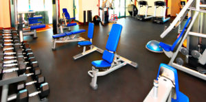 Olive Tree at SpurWing Fitness Area