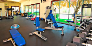 Olive Tree at SpurWing Fitness Area