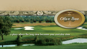 Welcome - Olive Tree Tablet Header