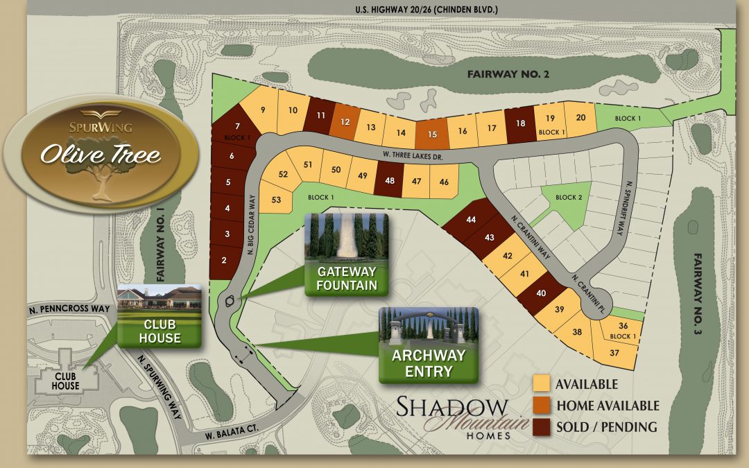 Shadow Mountain Homes OLIVE TREE AT SPURWING Plat Map