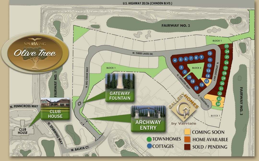 Gallery Homes by Varriale OLIVE TREE AT SPURWING Plat Map